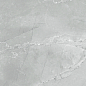 6060AMB15P Armani Marble Gray 60x60 LCM