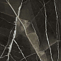 J175631MF6 Calacatta Black Jewel 75x150 IRIS FMG