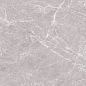 D605885BM Claros Grey light 60x60 Gani