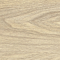 GP1560ASP21 Aspen Marron Sugar 151x602 New Trend