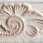 76131 FASCIA RILIEVO BIANCO 10x40 Gardenia Orchidea (Versace)