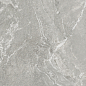D60259M Wild Light матовый 600x600x9.5 New Trend