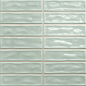 Sticks Fern 20х20 Absolut Keramika