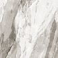 Bergen Polished Silver Carving 60x120 Realistik