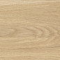 41726 Bloom Honey SP/24x151x0,9/R 24x151 Peronda