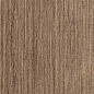DAASE362 Defile Beige 30*60 RAKO