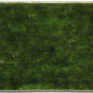 31627 Menorca Tourmaline 6,5x32,8 EQUIPE