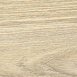 GP1560ASP21 Aspen Marron Sugar 151x602 New Trend