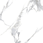 Statuario Crown полированный 60x60 Laparet
