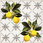 Giardino Bianco Mix Luc 20x20 Sant Agostino