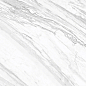 D12065M Statuary Venato 120x60 Delacora