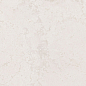 232855 Althea Moon 120х120 Colorker