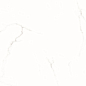 NSC1271 Белый глянцевый 60x120 NS Ceramic фото в миниатюре 6