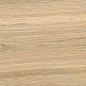 AB 1161W Wildwood Natural 1200x200 Absolut Gres