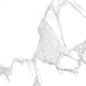 Calacatta Smoke 60x60 Gravita