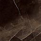 Regal Zuccini Coffee 80x160 SotGres