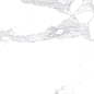 Cela Statuario 60x120 LV Granito