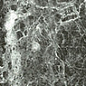 Anima Grey St Laurent Listello Lucidato 5,7*60 Caesar