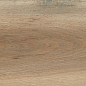 Barkwood Natural 20x120 Sant Agostino