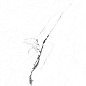 PR129 Videl Bianco polished 600x600x9 PrimaVera