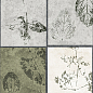 GT234VG Delia Мультиколор 30x60 Global Tile