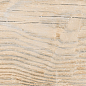 AB 1104W Forest Essenze Beige 1200x200 Absolut Gres