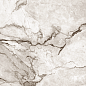 CR121 Tanami Pearl Carving 60x60 PrimaVera