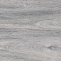 WD02 Taiga Grey 20x80 PrimaVera