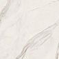 G67580 Statuario White Lux R 60x120 Versace (Gardenia Orchidea) фото в миниатюре 5
