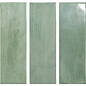 136313 Calema Clover 5,2х16 DNA Tiles
