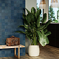 Atelier Bordeaux Glossy 10x10 Revoir Paris фото в миниатюре 41
