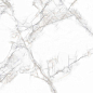 PR114 Arena White Polished 600x600 PrimaVera