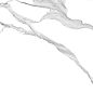 GT120601503PR Anima Белый полированный 60x120 Global Tile