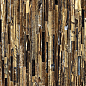 0502013 TWS Tiger Gold Lux RT 59,6x119,2 Roberto Cavalli