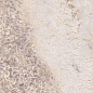 LU628373 Select Gem Rose Lucido 8mm 60x120 IRIS FMG