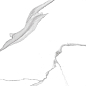 GT60608303MR Anima Белый 60x60 Global Tile