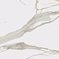 610010001683 Charme Evo Calacatta Nat Ret 80x160 Italon