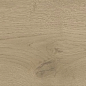 A845 Entice Ash Oak Natural Grip R11 20x120 Atlas Concorde