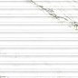 37877 Matcha Green Decor SP/33,3X100/R 33,3x100 Peronda фото в миниатюре 3