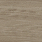 GP2090MOU21R Mountain Marron матовый 200x900 Delacora