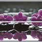 Composicion Wellness 02 Purple 30x45 (комплект 2шт) Absolut Keramika