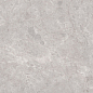N20488 Tokyo Grey Polished 80x160 Neodom фото в миниатюре
