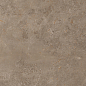 914 Luish Brown 120x60 Artcer