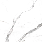 Marble Alexa Satuario 120x60 Artcer