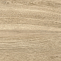 GP1560TAN11 Tanzania Beige матовый 151x602 New Trend