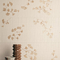 Lilysuite Marca Corona