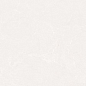 Pure Blanco Carving 60х120 Realistik