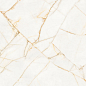 PF60017518 Supreme Hedonism Golden Spider Nat R 60x120 Flaviker
