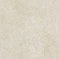 778710 Stone Life Shell Matte Ret 6mm 120x240 Cerim