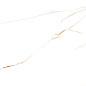 QVL4633GC Golden Queen Glossy Carving 60x120 Buono Ceramica